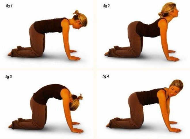 8 упражнений и поз из йоги, с которыми вы навсегда забудете о болях в спине 31