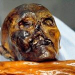 13 самых жутких мумий мира