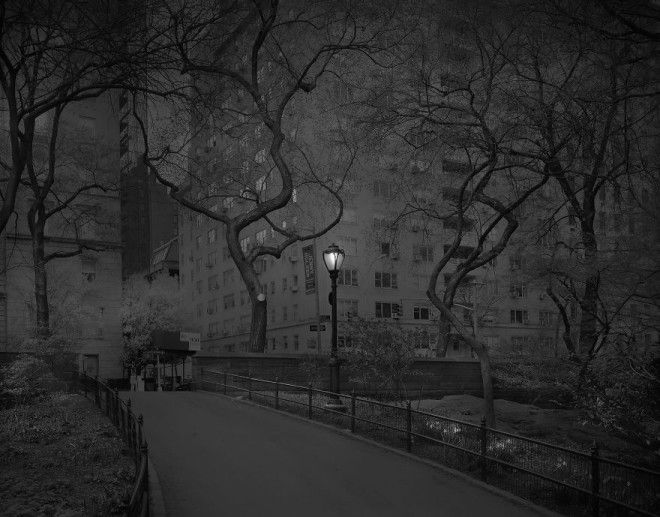 «В глубоком сне»: Центральный парк в фотографиях Майкл Массайа 8