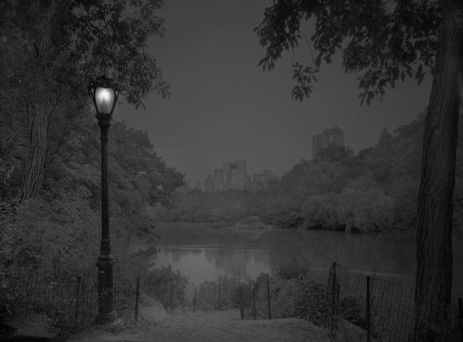 «В глубоком сне»: Центральный парк в фотографиях Майкл Массайа 18