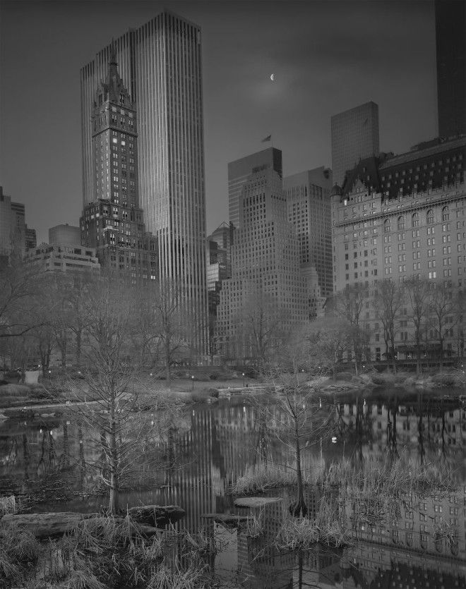 «В глубоком сне»: Центральный парк в фотографиях Майкл Массайа 9