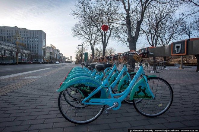 В этом городе есть все для жизни кроме самих жителей В чем причина 