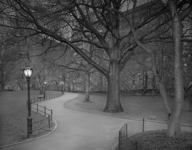 «В глубоком сне»: Центральный парк в фотографиях Майкл Массайа 13