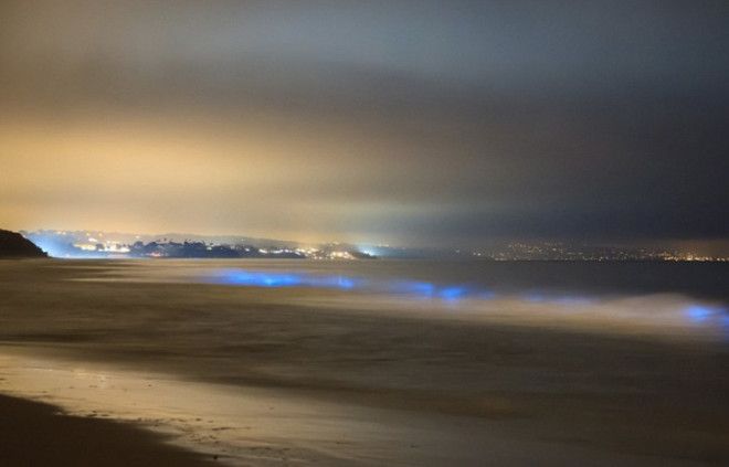 Карлсбад штат Калифорния США  Неоновые синие волны можно наблюдать и у пляжей Калифорнии В определенный период у берега скапливается фитопланктон При движении волн когда волна накатывает на берег образуется свечение