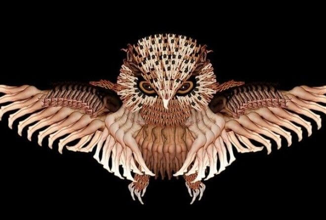 Коллекция птиц и насекомых из обнаженных человеческих тел от художницы