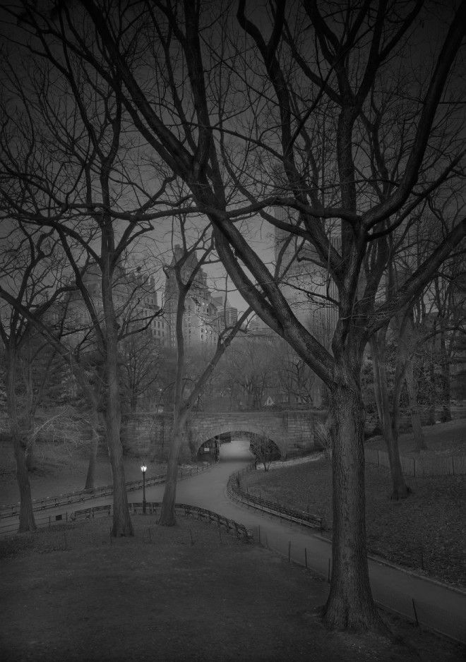 «В глубоком сне»: Центральный парк в фотографиях Майкл Массайа 11