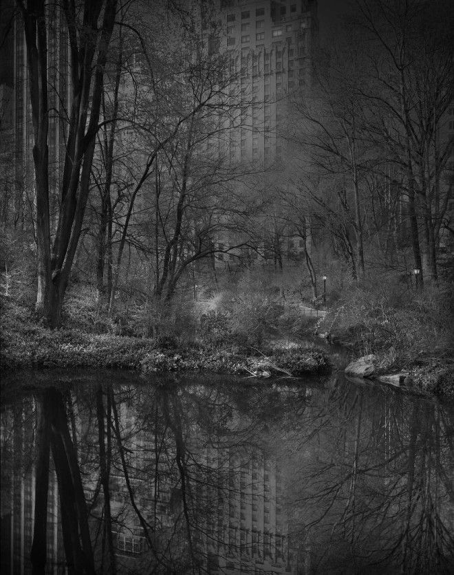 «В глубоком сне»: Центральный парк в фотографиях Майкл Массайа 10